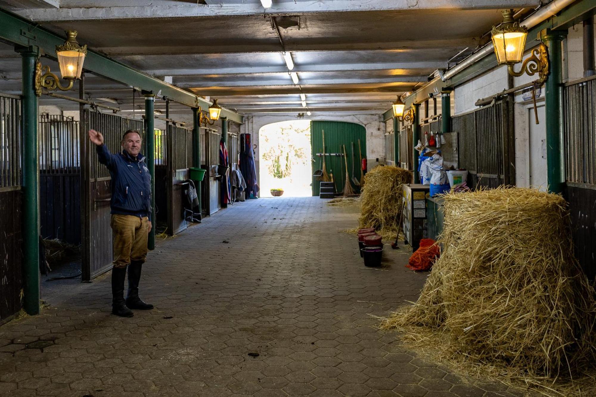 Fewo Mit Pferdeboxen, Paddock Und Weide In Der Lueneburger Heide Lägenhet Vierhofen Exteriör bild